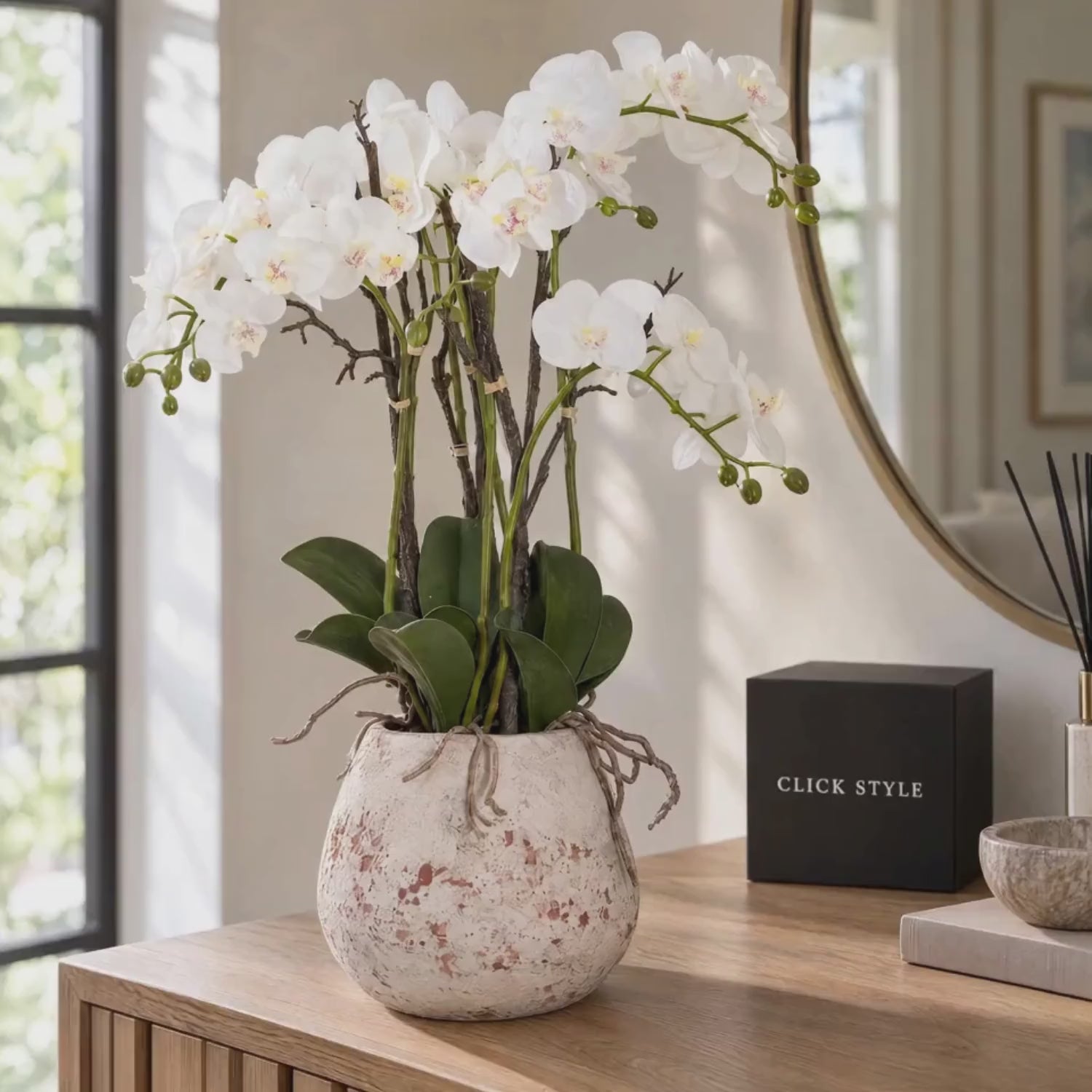 Artificial White Orchid with Cascading Blooms Dark Green Leaves & Realistic Roots in Weathered Stone Effect Pot – Large Potted Faux Orchid Arrangement 70x60x60cm displayed on an oak console table with black CLICK STYLE presentation box | Click Style