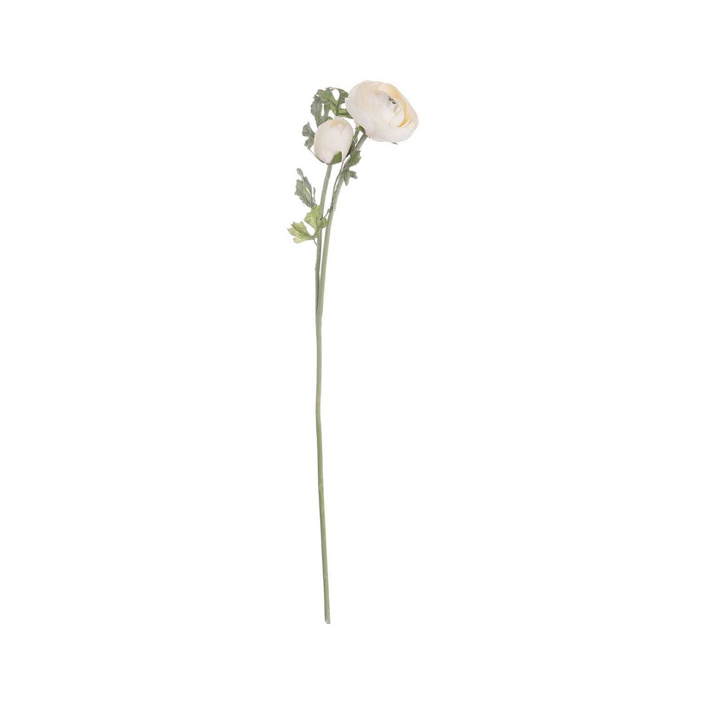 Artificial Soft Cream Ranunculus Stem – Click Style